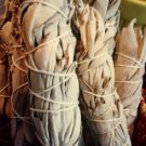 White Ceremonial Sage