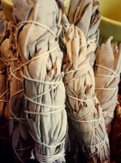 White Ceremonial Sage