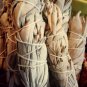 White Ceremonial Sage
