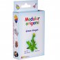 Amazing kit for assembling a modular origami green dragon