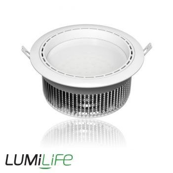 30 Watt - LED Ceiling Light - Transformer Included