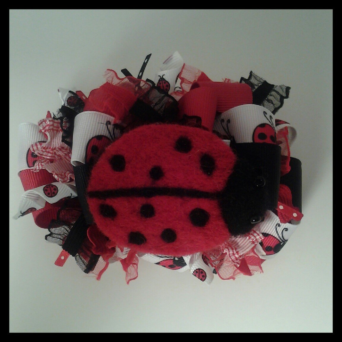 Lady Bug Love!