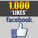 1,000 Facebook Likes - 100% SAFE - LOW Drop Rate
