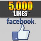 5,000 Facebook Likes - 100% SAFE - LOW Drop Rate