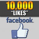 10,000 Facebook Likes - 100% SAFE - LOW Drop Rate