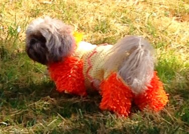 PATTERN - Lion Halloween Costume for Dogs