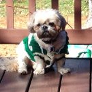 Knitted sweater for Dogs