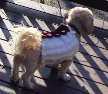 Two Colored Knitted Sweater for Dogs