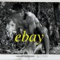 MIKE HENRY as Tarzan ORIGINAL vintage photo #5 RARE!!!