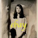 SARAH MILES great ORIGINAL vintage photo #2 RARE!!!