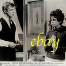 GEORGE PEPPARD ELIZABETH ASHLEY vintage photo RARE!!!