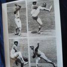 VIDA BLUE wonderful ORIGINAL press photo