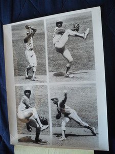 VIDA BLUE wonderful ORIGINAL press photo