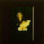 JEMIMA KHAN 35mm ORIGINAL SLIDE press vintage photo #2