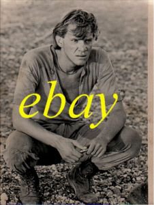 MALCOLM McDOWELL great ORIGINAL vintage photo RARE!!!