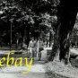 LIZA MINNELLI great ORIGINAL vintage photo #2 RARE!!!