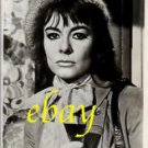ANNE HEYWOOD great ORIGINAL vintage photo RARE!!!