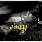 DORIS DAY BRIAN KEITH ORIGINAL vintage photo #1 RARE!!!