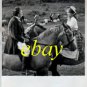 JULIE CHRISTIE PETER FINCH ORIGINAL vintage photo RARE!
