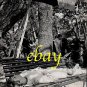 BIBI ANDERSSON great ORIGINAL vintage photo #5 RARE!