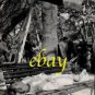 BIBI ANDERSSON great ORIGINAL vintage photo #5 RARE!