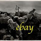 DAVID NIVEN MORLAND GRAHAM ORIGINAL vintage photo RARE!
