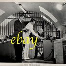 GEORGE HAMILTON great ORIGINAL vintage photo #4 RARE!