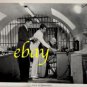 GEORGE HAMILTON great ORIGINAL vintage photo #4 RARE!