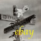 DISNEY ADVENTURES OF ICHABOD ORIG. vintage photo 2 RARE