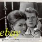 ANGIE DICKINSON TROY DONAHUE ORIG. vintage photo RARE!