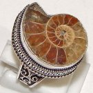 Fossil Madagascar Ammonite 925 Sterling Silver Handmade Ring 8.5