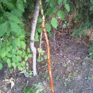 Custom Made Staff