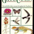 A Field Guide to the Grand Canyon by Stephen Whitney (1982, Paperback)