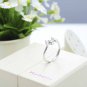 Milgrain Pet Dog Schnauzer 0.04cttw Diamond 18K White Gold Women Fashion Ring Gift S06958R