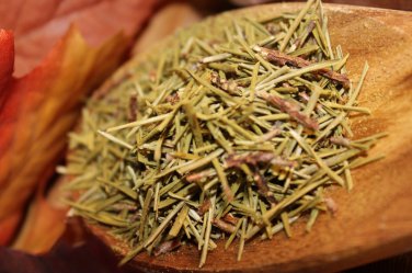 Dried Eastern White Pine Needle Cut and Sifted Pinus strobus 1oz