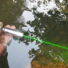 10mw Waterproof Silver Sheen Green Laser Pointer Gadget (battery included)