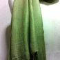 Pashmina shawl