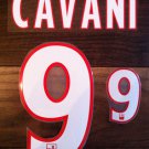 EDINSON CAVANI 9 PARIS SAINT GERMAIN 2013 2014 NAME NUMBER SET NAMESET KIT PRINT