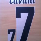 CAVANI 7 URUGUAY HOME WC 2010 NAME NUMBER SET NAMESET KIT PRINT NUMBERING