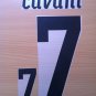 CAVANI 7 URUGUAY HOME WC 2010 NAME NUMBER SET NAMESET KIT PRINT NUMBERING