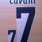 CAVANI 7 URUGUAY HOME WC 2010 NAME NUMBER SET NAMESET KIT PRINT NUMBERING