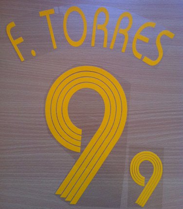 FERNANDO TORRES 9 SPAIN HOME WORLD CUP 2006 NAME NUMBER SET NAMESET KIT PRINT
