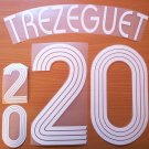 TREZEGUET 20 FRANCE HOME WORLD CUP 2006 NAME NUMBER SET NAMESET KIT PRINT