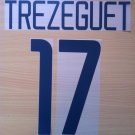 TREZEGUET 17 JUVENTUS HOME 2003 2004 NAME NUMBER SET NAMESET KIT PRINT NUMBERING