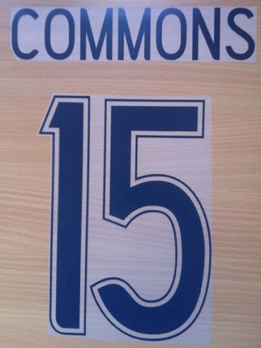 COMMONS 15 CELTIC HOME UCL 2011 NAME NUMBER SET NAMESET KIT PRINT NUMBERING