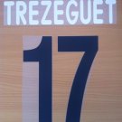 TREZEGUET 17 JUVENTUS HOME 2002 2003 NAME NUMBER SET NAMESET KIT PRINT CENTENARY