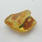 62 Carat Genuine Baltic Amber Gemstone Semi Finished Raw 34x50x22mm DST26