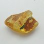 62 Carat Genuine Baltic Amber Gemstone Semi Finished Raw 34x50x22mm DST26