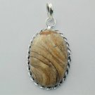 Classic Stylish Picture Jasper  Sterling Silver Jewelry Gemstone Pendant P-84 L1