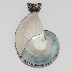 3" Large Shell Ammonite 48gm  925 Sterling Silver Artisan Jewelry Pendant P-20L5